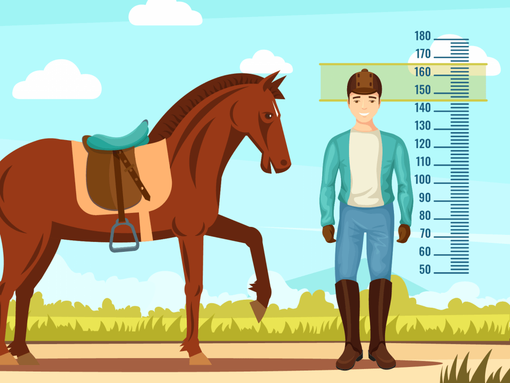 Jockey by height measuring tool