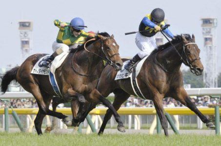 Japan horserace betting